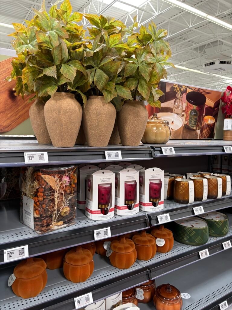 Beautiful Fall Decor Finds I Found at Walmart img 8548