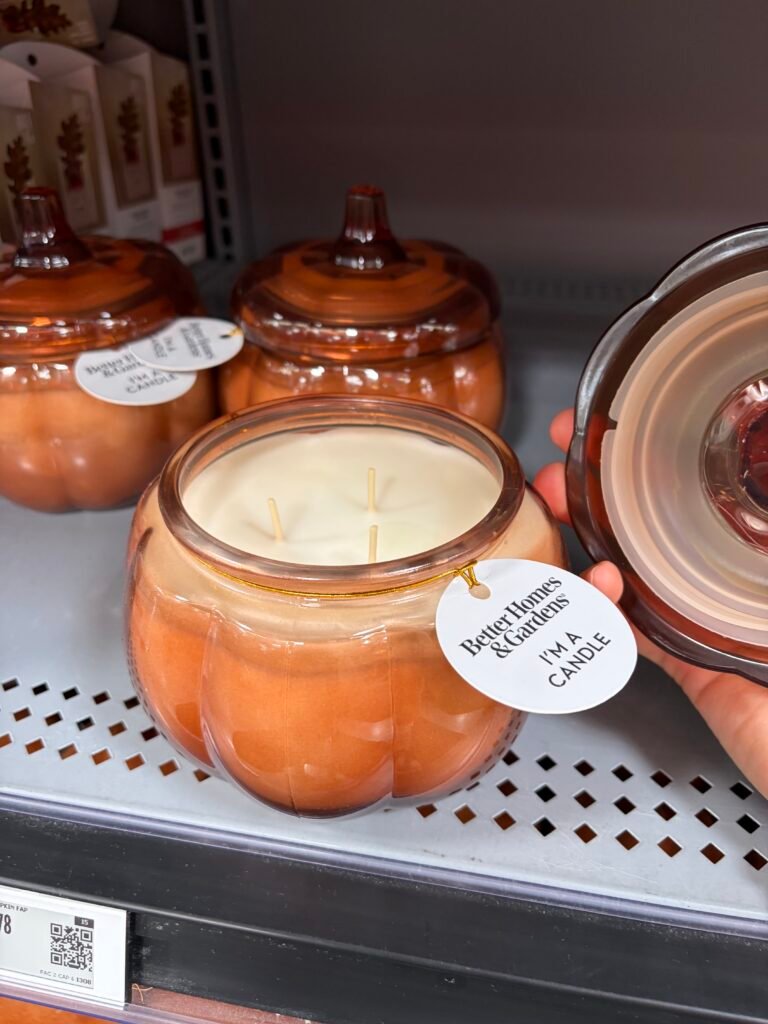Beautiful Fall Decor Finds I Found at Walmart img 8549