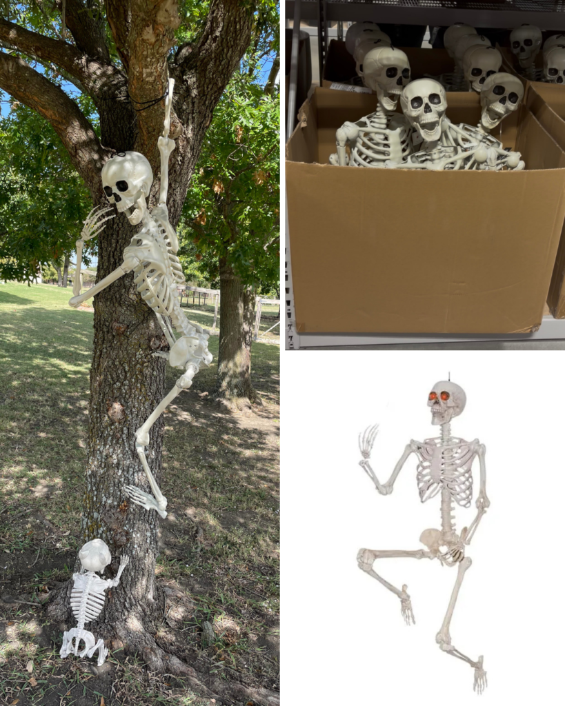 The Best Halloween Decor Finds I Found at At Home untitled design(4)